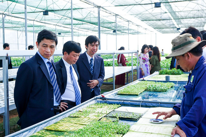 Đoàn lãnh đạo tỉnh Bình Định tới tham quan vườn ươm công nghệ cao của Trường Đại học Tôn Đức Thắng, tìm kiểm các cơ hội hợp tác chuyển giao công nghệ cho địa phương. Ảnh do Phó giáo sư Phạm Thanh Phong cung cấp. Đoàn lãnh đạo tỉnh Bình Định tới tham quan vườn ươm công nghệ cao của Trường Đại học Tôn Đức Thắng, tìm kiểm các cơ hội hợp tác chuyển giao công nghệ cho địa phương. Ảnh do Phó giáo sư Phạm Thanh Phong cung cấp.