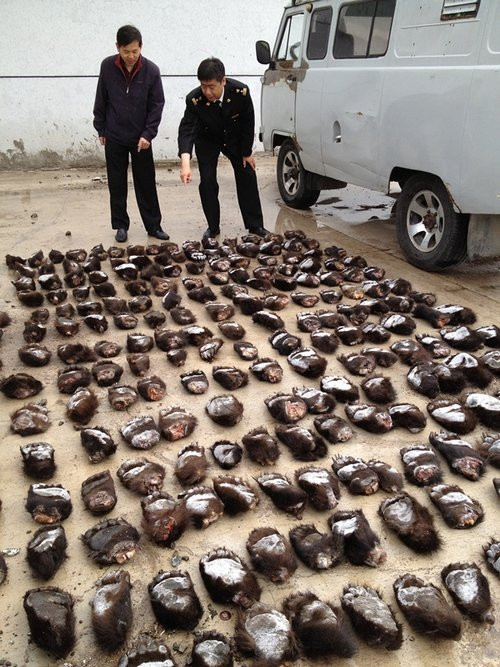 Vụ bắt giữ tay gấu lớn chưa từng có tại Trung Quốc