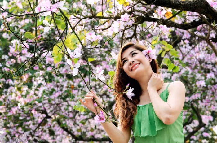 Xuân về rừng trổ hoa Ban Rung rinh gió hát, ngập tràn suối trong Đàn chim thả cánh thong dong Tung tăng bay lượn trên bông hoa vàng Ngắm hoa ban (Tác giả: Duong Minh) Xuân về rừng trổ hoa Ban Rung rinh gió hát, ngập tràn suối trong Đàn chim thả cánh thong dong Tung tăng bay lượn trên bông hoa vàng Ngắm hoa ban (Tác giả: Duong Minh)