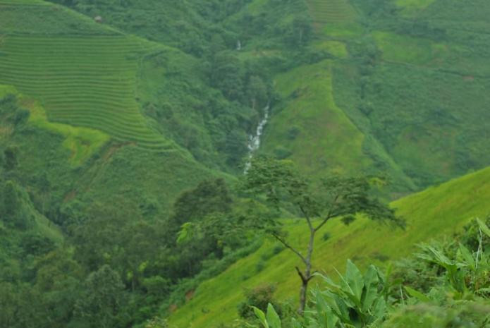 Con đường dẫn tới ruộng bậc thang Con đường dẫn tới ruộng bậc thang