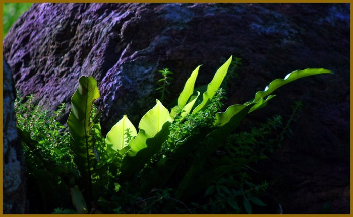 Nắng rất mới như lòng tôi rất mới Tôi vui cười chào ngày mới vừa sang Chào ngày mới ( Tác giả: Nguyễn Quốc Sơn) Nắng rất mới như lòng tôi rất mới Tôi vui cười chào ngày mới vừa sang Chào ngày mới ( Tác giả: Nguyễn Quốc Sơn)