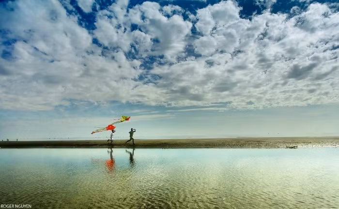 Ngày nắng và cánh diều ( tác giả: Roger Nguyen)