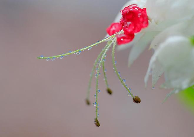 Ngọt ngào (Tác giả: TA Nguyen) Ngọt ngào (Tác giả: TA Nguyen)