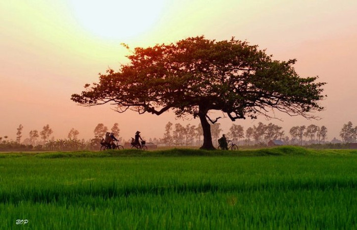 Chiều hoàng hôn thiếu căn nhà của mẹ Ta giật mình là khách viễn du Chiều quê (Tác giả: Pi Bop) Chiều hoàng hôn thiếu căn nhà của mẹ Ta giật mình là khách viễn du Chiều quê (Tác giả: Pi Bop)