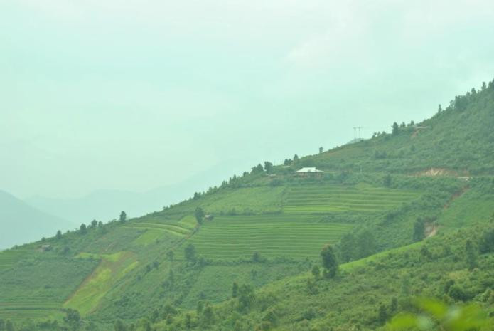 Ruộng bậc thang xanh mướt bạt ngàn Ruộng bậc thang xanh mướt bạt ngàn