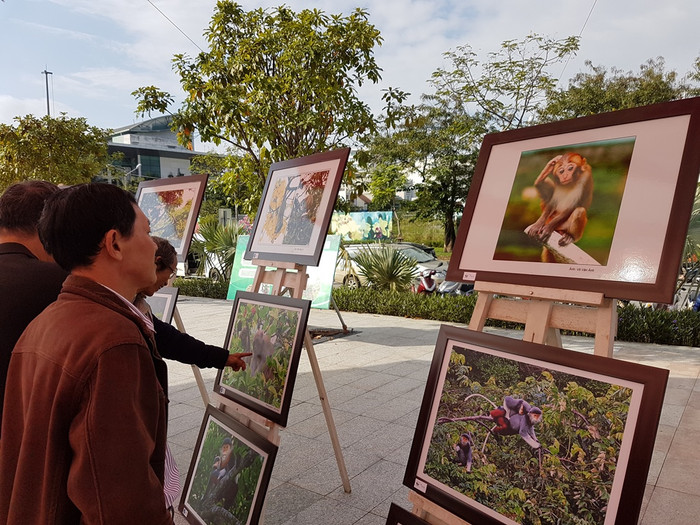 Với 120 tác phẩm của 30 tác giả, dưới nhiều góc nhìn mới lạ, độc đáo và hấp dẫn, những người yêu thiên nhiên, yêu Sơn Trà, yêu Vọoc chà vá chân nâu muốn gửi một thông điệp đến cộng đồng... Với 120 tác phẩm của 30 tác giả, dưới nhiều góc nhìn mới lạ, độc đáo và hấp dẫn, những người yêu thiên nhiên, yêu Sơn Trà, yêu Vọoc chà vá chân nâu muốn gửi một thông điệp đến cộng đồng...