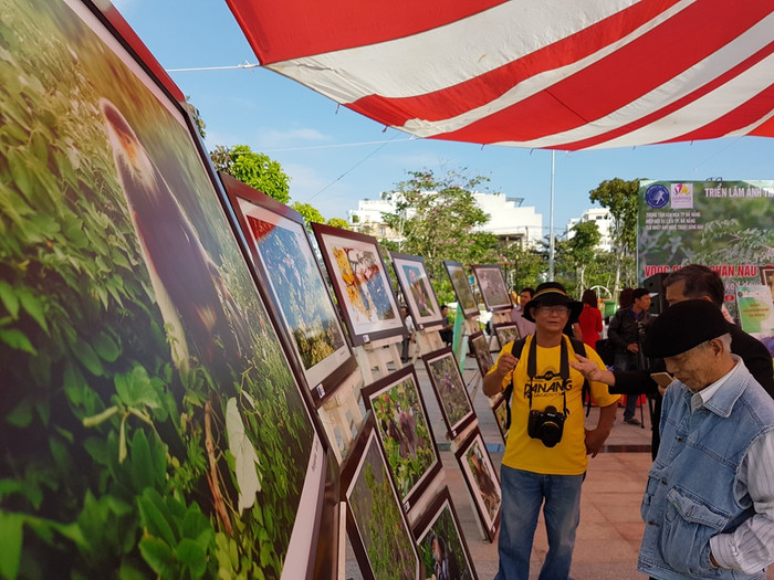 Triển lãm với chủ đề “Báu vật trong lòng thành phố”, trong đó chủ yếu nói về Vọoc chà vá chân nâu, được mệnh danh là “nữ hoàng linh trưởng” đang ngày càng bị đe dọa, cần được bảo vệ Triển lãm với chủ đề “Báu vật trong lòng thành phố”, trong đó chủ yếu nói về Vọoc chà vá chân nâu, được mệnh danh là “nữ hoàng linh trưởng” đang ngày càng bị đe dọa, cần được bảo vệ