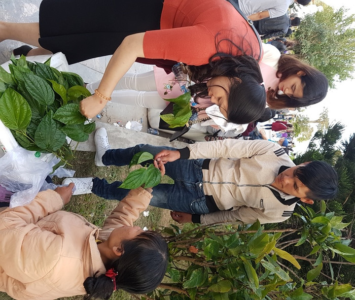 Lộc đầu năm là những cành trầu được người dân bán trong khuôn viên chùa Linh Ứng. Mỗi một cành trầu có giá 20.000 đồng. "Chúng tôi đi chùa cầu an, cầu may mắn...và mua cành lộc về để mong năm mới mọi điều tốt lành đến với mọi người", chị Thủy (trú quận Hải Châu, Đà Nẵng) chia sẻ. Lộc đầu năm là những cành trầu được người dân bán trong khuôn viên chùa Linh Ứng. Mỗi một cành trầu có giá 20.000 đồng. "Chúng tôi đi chùa cầu an, cầu may mắn...và mua cành lộc về để mong năm mới mọi điều tốt lành đến với mọi người", chị Thủy (trú quận Hải Châu, Đà Nẵng) chia sẻ.