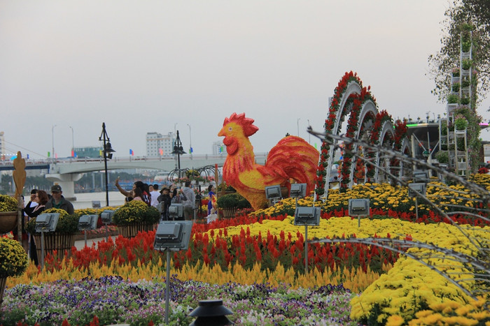 Rực rỡ đường hoa Bạch Đằng bên sông Hàn