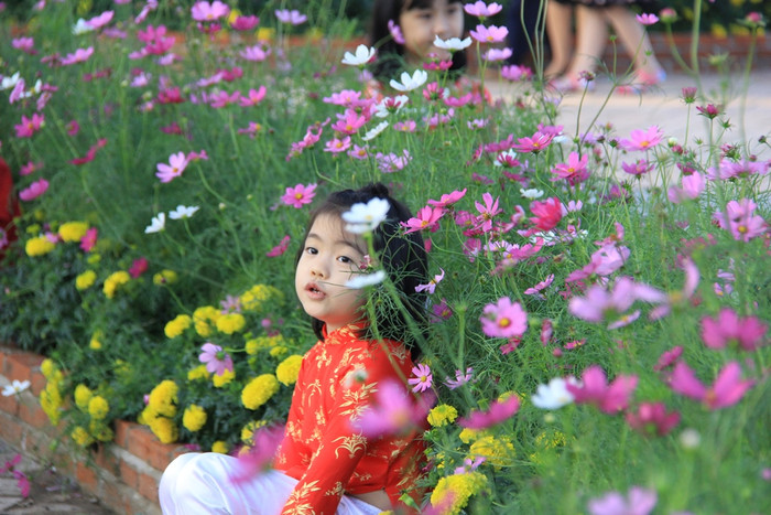 Nhiều loài hoa có màu sắc đẹp, được lựa chọn công phu đưa về trang trí đường hoa Bạch Đằng. Năm nay, thành phố cho phép doanh nghiệp cùng tham gia việc "làm đẹp" cho thành phố