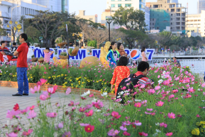 Đường hoa Bạch Đằng được trang trí từ phía Tây cầu Rồng về tới trụ sở HĐND TP Đà Nẵng (42 Bạch Đằng)