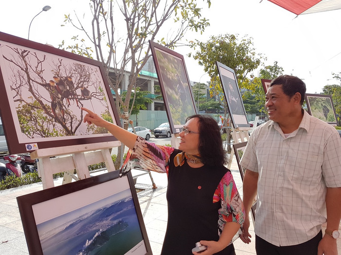 Người dân xem các tác phẩm tại triển lãm. Người dân xem các tác phẩm tại triển lãm.