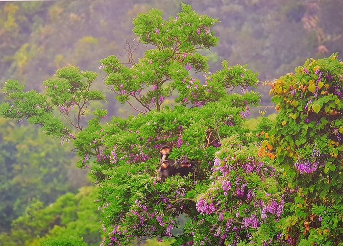 Triển lãm kéo dài từ ngày 10/1 đến ngày 15/1 Triển lãm kéo dài từ ngày 10/1 đến ngày 15/1