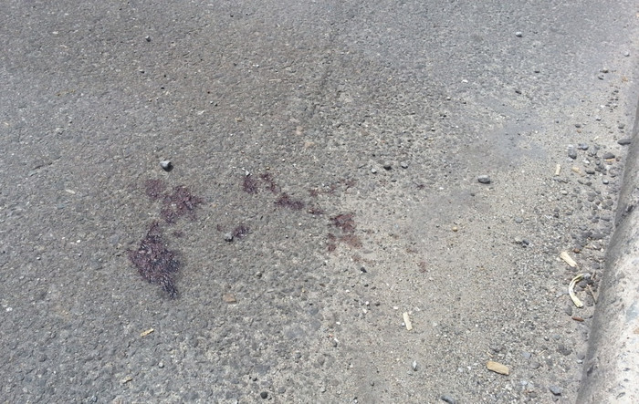 Vết máu khi trung tá Bùi Hòa bị ngã còn lưu lại tại hiện trường. Ảnh H.Q Vết máu khi trung tá Bùi Hòa bị ngã còn lưu lại tại hiện trường. Ảnh H.Q