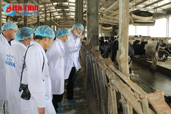 Ngày 26/5/2017, Đoàn lãnh đạo Ủy ban nhân dân tỉnh Hà Nam do Phó chủ tịch Trương Minh Hiến dẫn đầu, tới tham quan mô hình nuôi bò sữa của Vinamilk tại Hà Tĩnh, ảnh: baohatinh.vn. Ngày 26/5/2017, Đoàn lãnh đạo Ủy ban nhân dân tỉnh Hà Nam do Phó chủ tịch Trương Minh Hiến dẫn đầu, tới tham quan mô hình nuôi bò sữa của Vinamilk tại Hà Tĩnh, ảnh: baohatinh.vn.