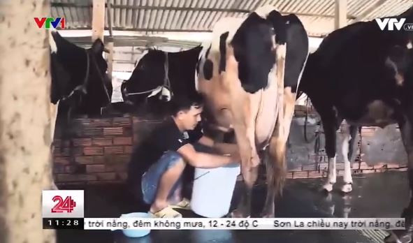 Ảnh minh họa: Nguồn: vtv.vn. Ảnh minh họa: Nguồn: vtv.vn.