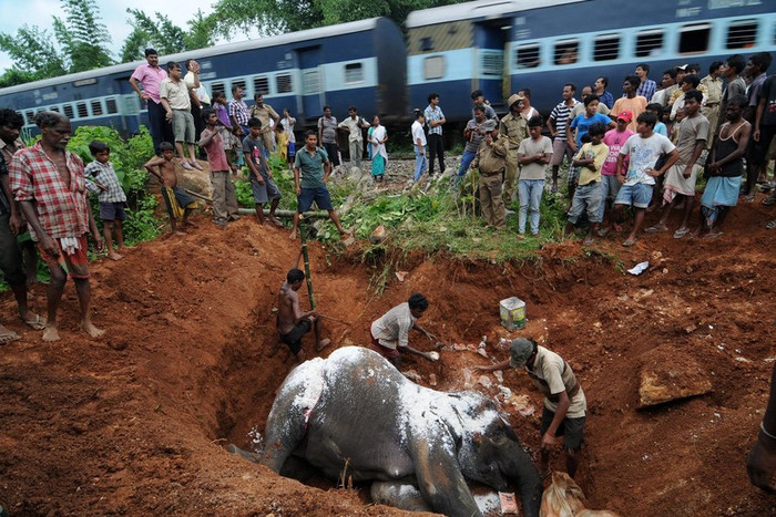 Nhiều người dân có mặt tại hiện trường Nhiều người dân có mặt tại hiện trường