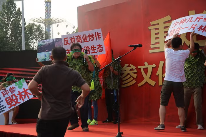 Họ mang theo biểu ngữ phản đối các doanh nghiệp vì khai thác nhân sâm mà phá rừng