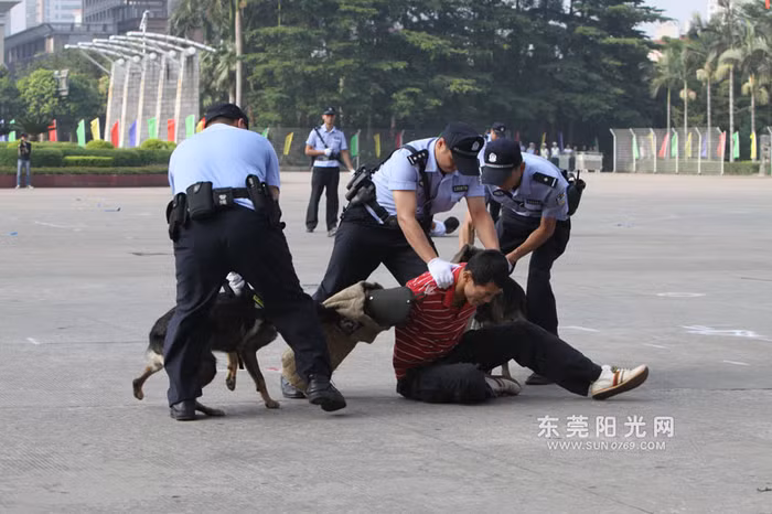 Cảnh sát làm nhiệm vụ "xử lý chiến trường" sau khi chó nghiệp vụ đã hạ gục các đối tượng