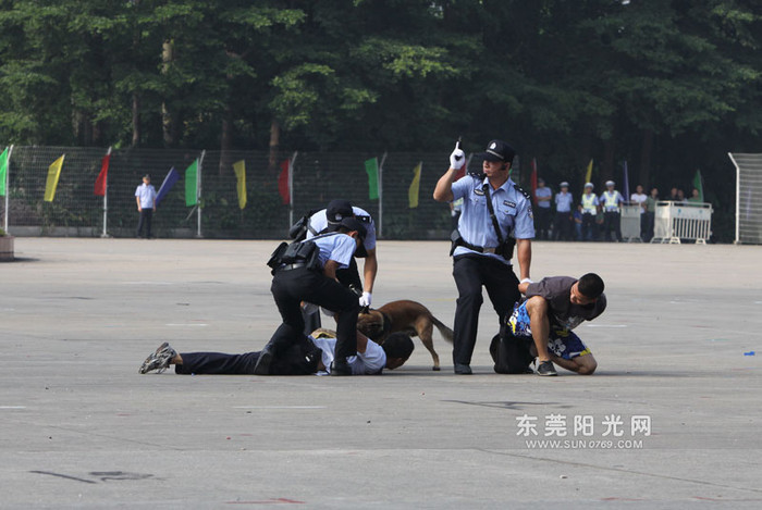 "Cảnh khuyển" lập tức hạ gục các đối tượng "Cảnh khuyển" lập tức hạ gục các đối tượng