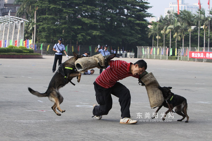 Không thể chạy thoát Không thể chạy thoát