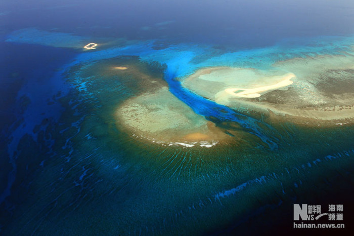 Bãi san hô đảo Hoàng Sa Bãi san hô đảo Hoàng Sa