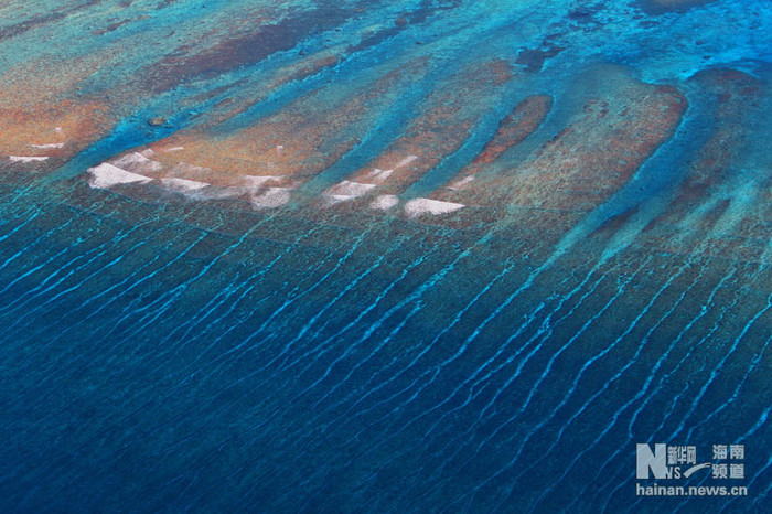 Bãi san hô đảo Hoàng Sa Bãi san hô đảo Hoàng Sa