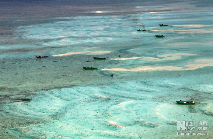 Tàu Trung Quốc khai thác san hô trái phép trên đảo Hoàng Sa Tàu Trung Quốc khai thác san hô trái phép trên đảo Hoàng Sa