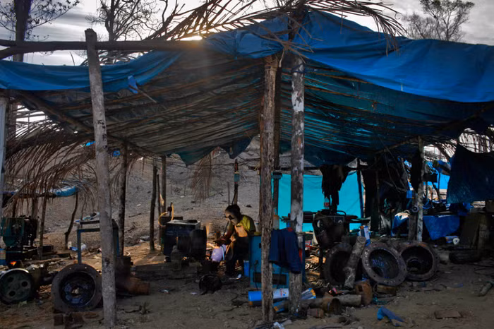 Luyện vàng ngay tại mỏ