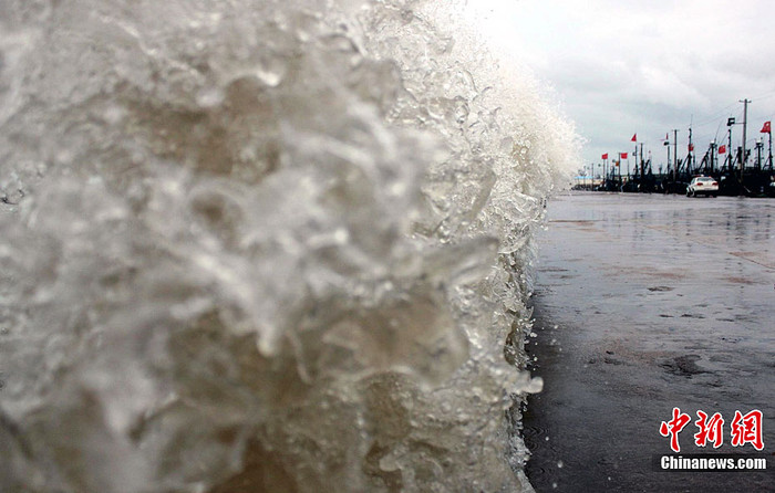 Cận cảnh một con sóng