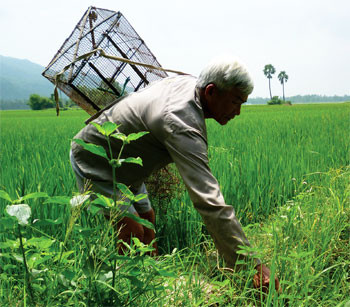 Ảnh minh họa: Internet