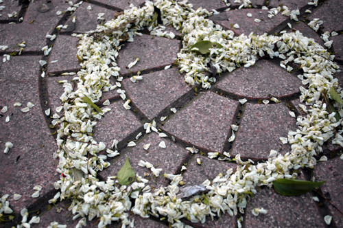 Kết thành hình Kết thành hình