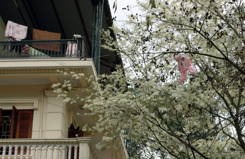 Phủ vào ô cửa nhà dân Phủ vào ô cửa nhà dân