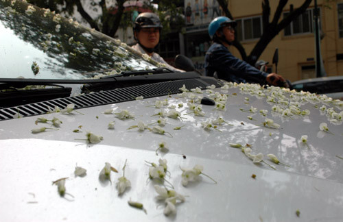 Vương trên xe Vương trên xe