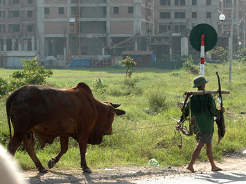 Tăng cường hiệu quả công tác quản lý đất đai nhằm hạn chế phát sinh khiếu nại, tố cáo. Ảnh minh họa: Hoàng Long