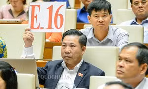 Ông Bùi Kiến Thành nói về "quân xanh, quân đỏ" đục khoét tài sản nhà nước ảnh 1