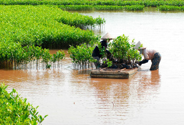 Ảnh minh họa: Báo Tài nguyên Môi trường Ảnh minh họa: Báo Tài nguyên Môi trường