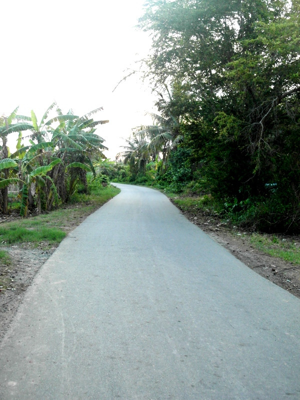 Con đường bêtông vắng lặng dẫn vào chùa Cà Hom. Con đường này, theo ông Nguyễn Tấn Sự - một người dân tại xã Hàm Giang, ông Trầm Bê đã "hùn" 30% kinh phí với chính quyền địa phương để xây dựng. Con đường bêtông vắng lặng dẫn vào chùa Cà Hom. Con đường này, theo ông Nguyễn Tấn Sự - một người dân tại xã Hàm Giang, ông Trầm Bê đã "hùn" 30% kinh phí với chính quyền địa phương để xây dựng.