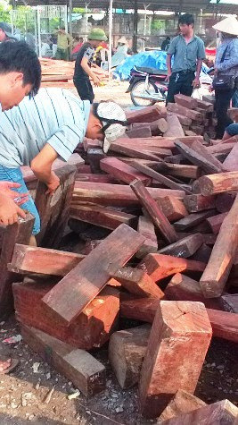 Không thể nói đây là điểm tập kết gỗ. Không thể nói đây là điểm tập kết gỗ.