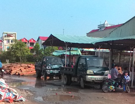Xe ra vào tấp nập tại khu chợ gỗ trái phép. Xe ra vào tấp nập tại khu chợ gỗ trái phép.