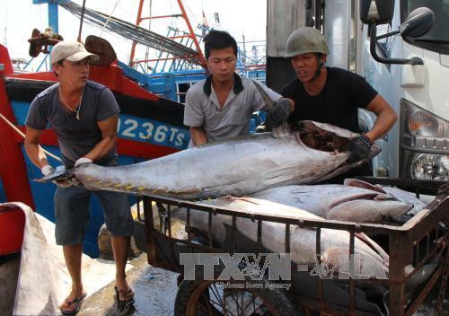 (Ảnh minh họa: TTXVN) (Ảnh minh họa: TTXVN)