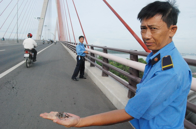 Bảo vệ Huỳnh Thanh Trực với đống đinh mới nhặt được sáng 7/5. Bảo vệ Huỳnh Thanh Trực với đống đinh mới nhặt được sáng 7/5.