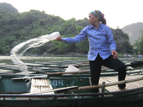 Cuối ngày, sau khi kết thúc một ngày làm việc, các thuyền đều được rửa sạch trước khi gối bãi. Cuối ngày, sau khi kết thúc một ngày làm việc, các thuyền đều được rửa sạch trước khi gối bãi.