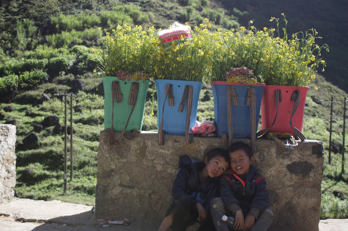 Trú dưới những giỏ hoa cải.