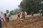 Nghỉ dịch Covid-19, học sinh vùng cao Hà Giang theo mẹ lên nương Nghỉ dịch Covid-19, học sinh vùng cao Hà Giang theo mẹ lên nương