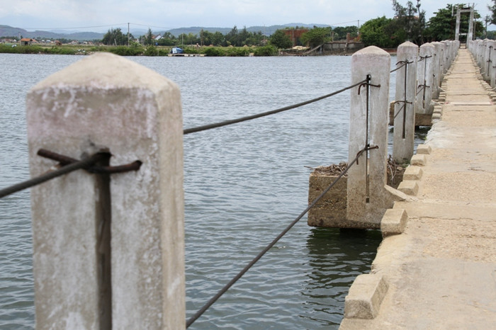 Hai bên lan can cầu có dây cáp nhưng cũng chỉ đủ để người đi giảm cảm giác sợ hãi. Nếu lỡ may có rớt xuống sông thì dây cáp này cũng không che chắn được. Hai bên lan can cầu có dây cáp nhưng cũng chỉ đủ để người đi giảm cảm giác sợ hãi. Nếu lỡ may có rớt xuống sông thì dây cáp này cũng không che chắn được.