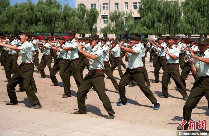 Huấn luyện các thế võ cơ bản