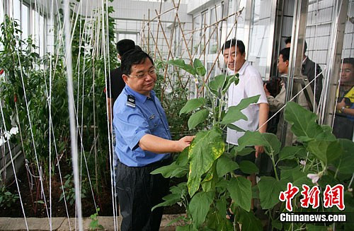 Quân Trung Quốc trồng rau trên nhà nổi Đá Vành Khăn Quân Trung Quốc trồng rau trên nhà nổi Đá Vành Khăn