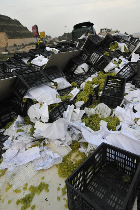 Cả một xe container chở nho trị giá 30 vạn nhân dân tệ phần lớn bị cướp, số còn lại cũng dập nát không thể bán nổi Cả một xe container chở nho trị giá 30 vạn nhân dân tệ phần lớn bị cướp, số còn lại cũng dập nát không thể bán nổi