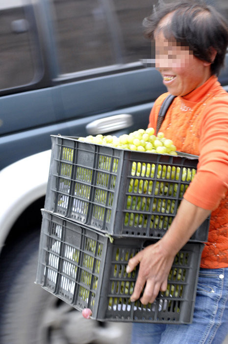 Hớn hở vì "hôi" được nhiều nho Hớn hở vì "hôi" được nhiều nho